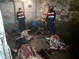 Manisa’da eşek eti kesen 5 şüpheli yakalandı