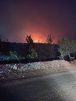 Soma’da Orman Yangını