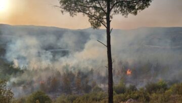 Manisa Valiliği orman yangınları karşı duyuru yaptı
