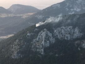 Spil Dağı’nda orman yangını